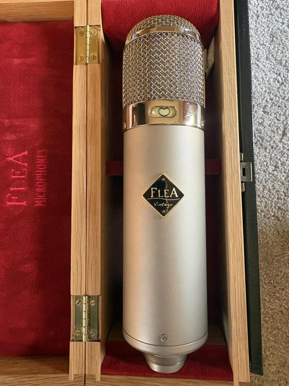 Flea 47