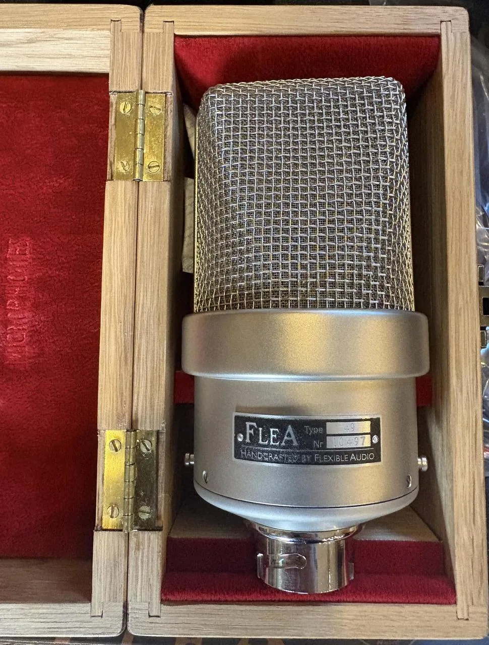 Flea 49