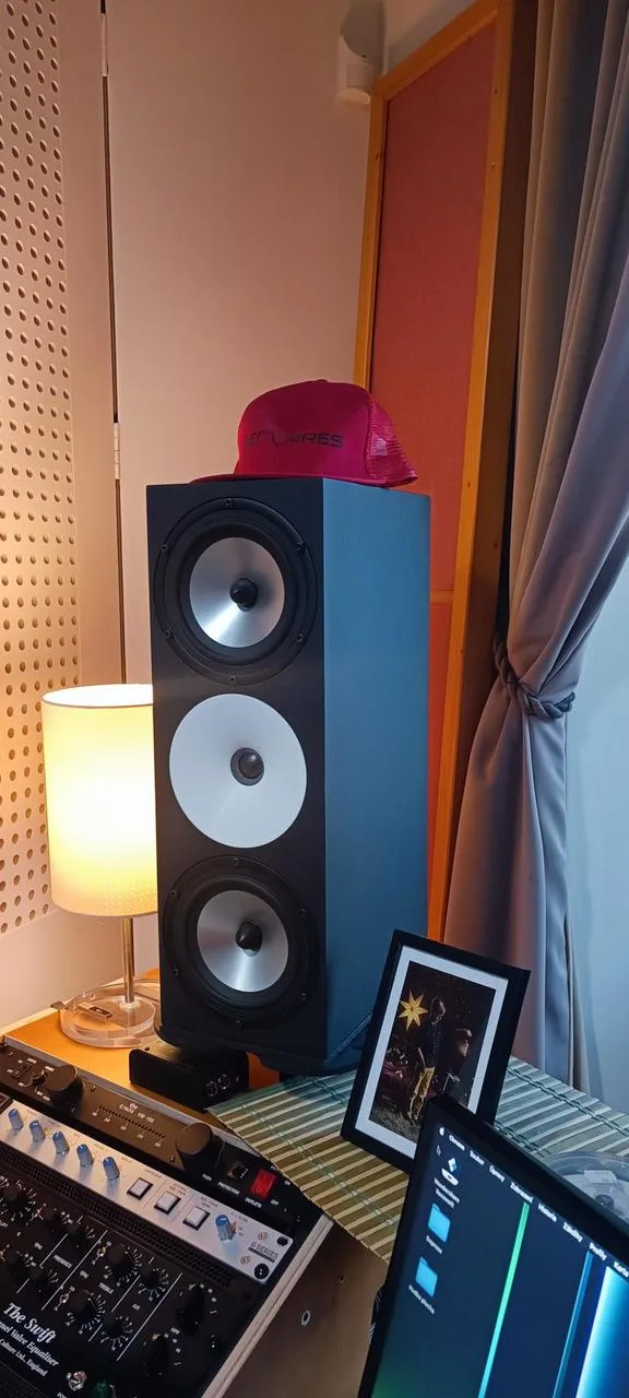 Amphion TWO 18 + Amphion amp 700