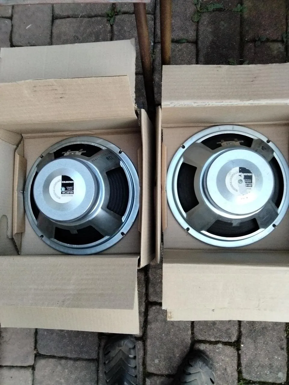 Celestion basové
