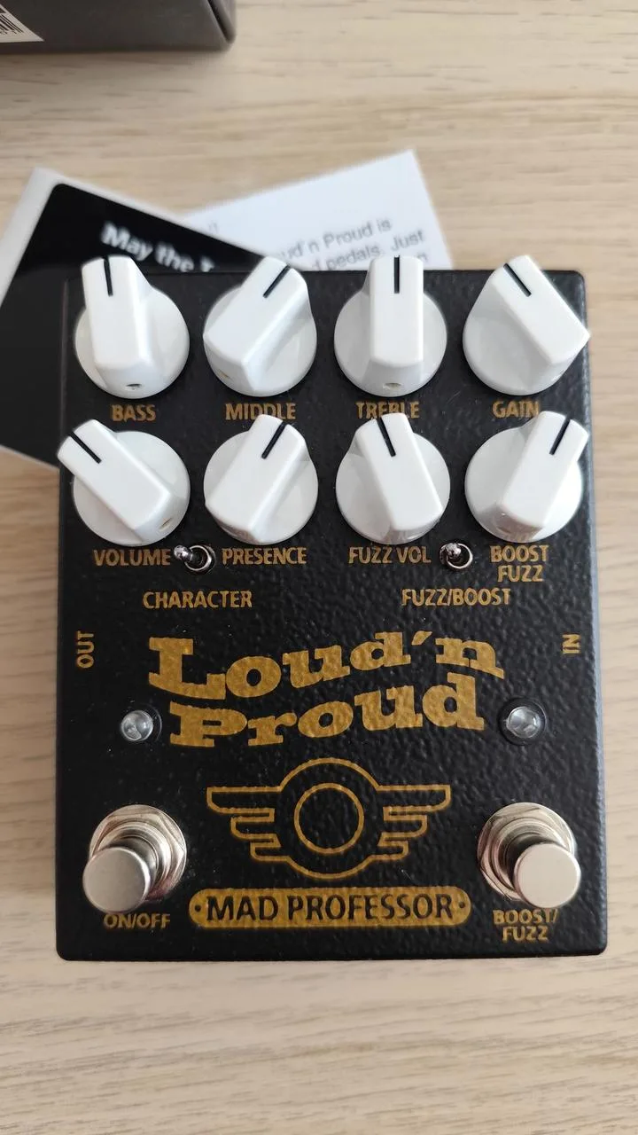 MAD PROFESSOR LOUD'N PROUD