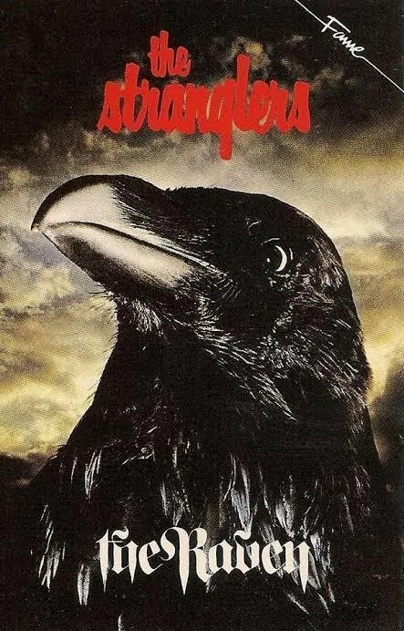 Náhled 7