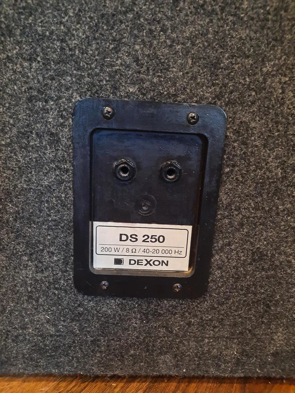 Reprobox DEXON DS250 200W 8Ohm