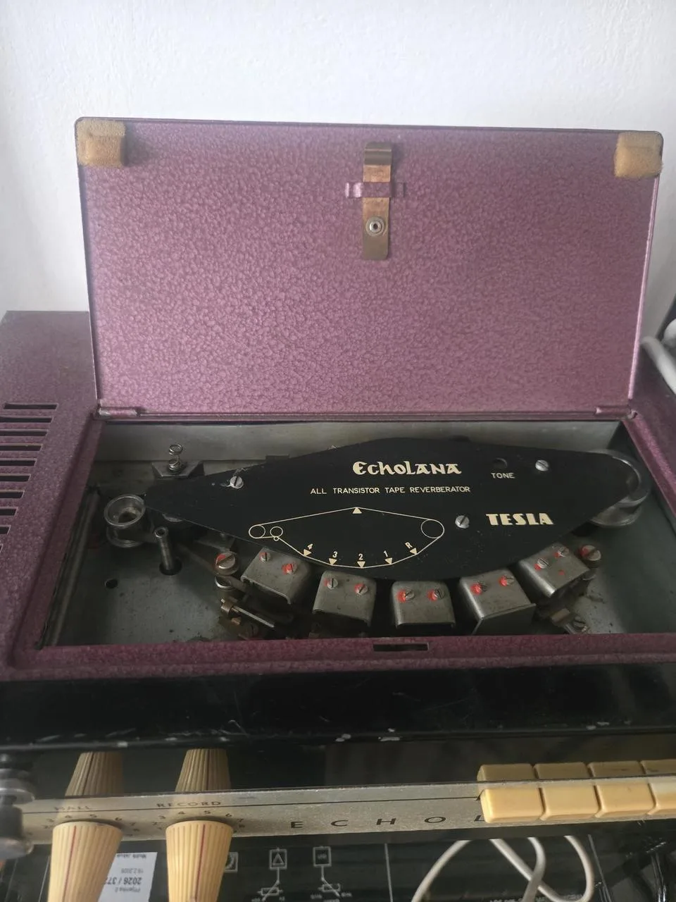 Tesla Echolana 2