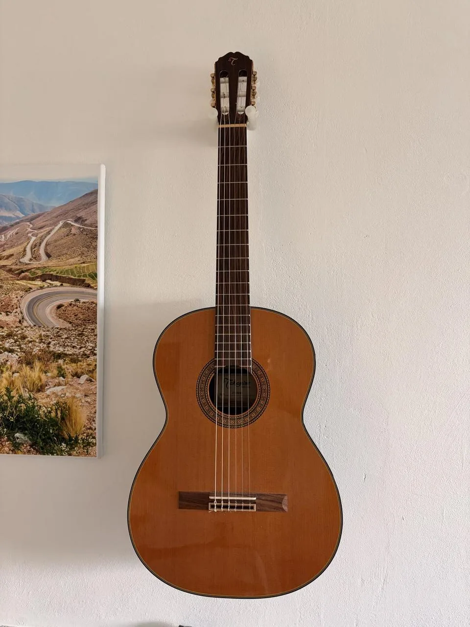 Klasická kytara Takamine