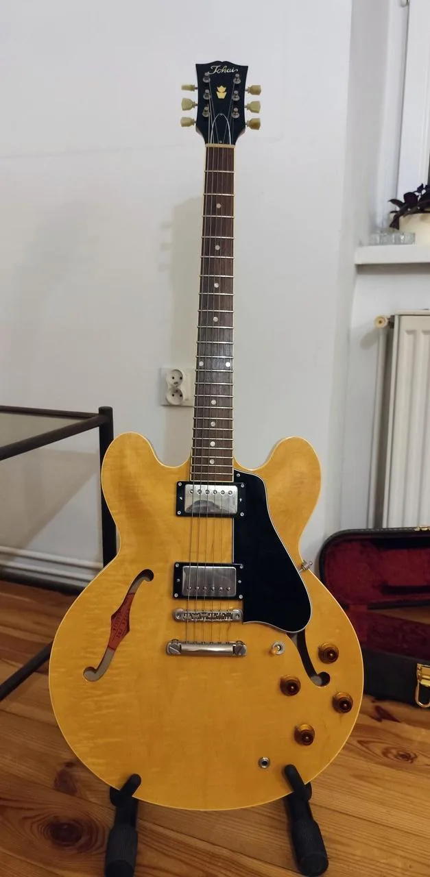 Tokai ES 224