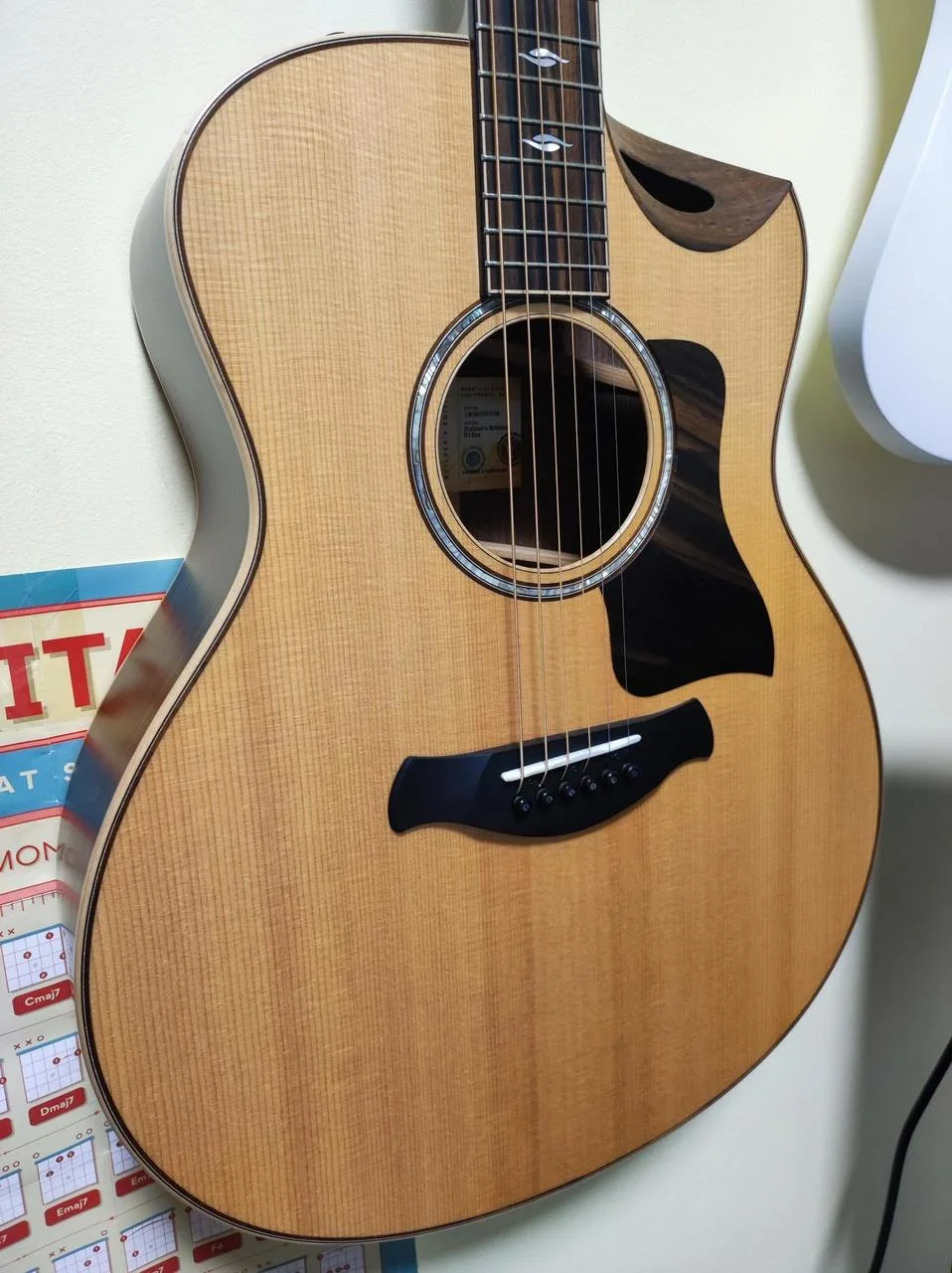 Taylor 816CE Builder's Edition