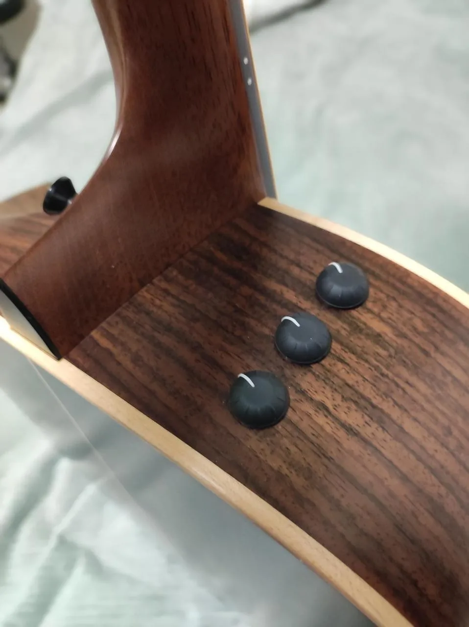 Taylor 816CE Builder's Edition