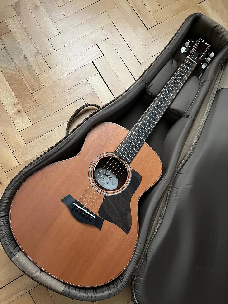 Taylor GS mini mahogany L.R.Baggs