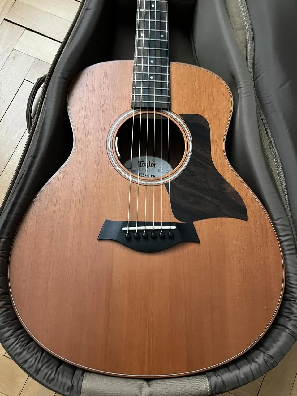Taylor GS mini mahogany L.R.Baggs