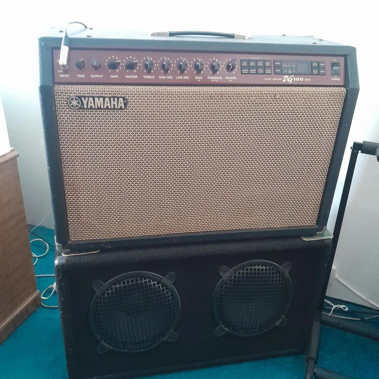 YAMAHA DG100