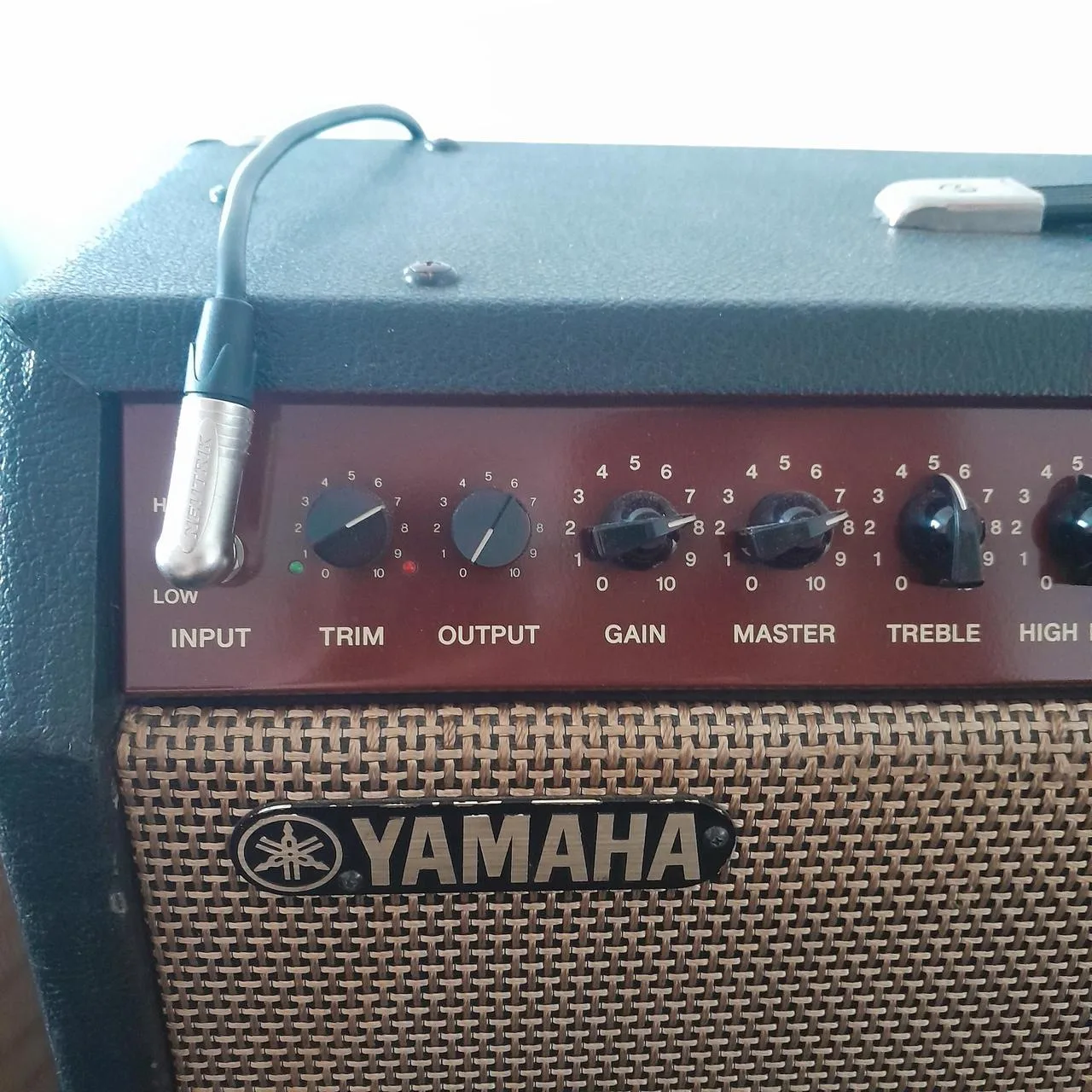 YAMAHA DG100