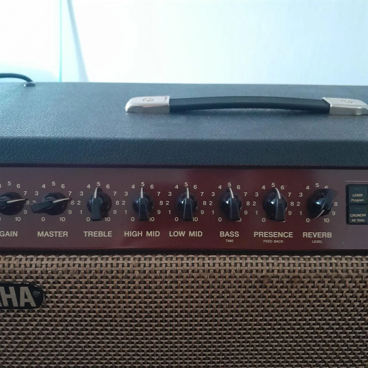 YAMAHA DG100