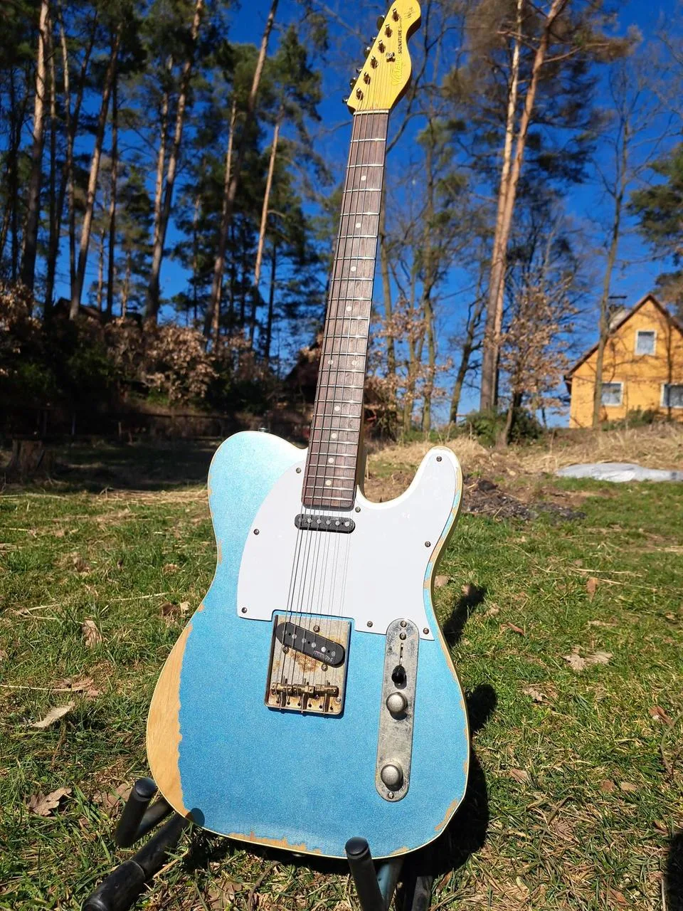 Telecaster Vintage V66 Paul Rose Signature