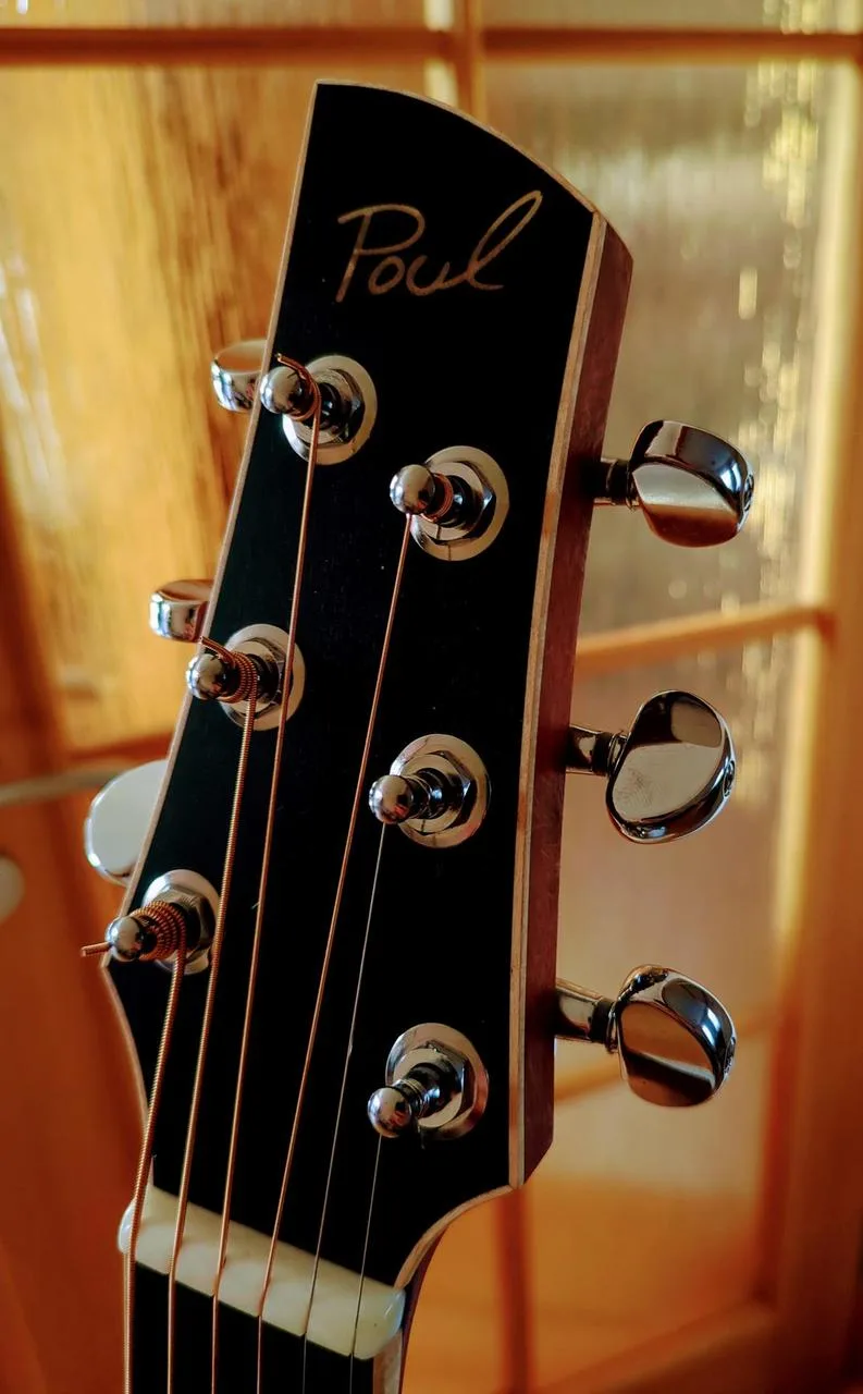 Kytara parlor Poul Guitars - možná výměna