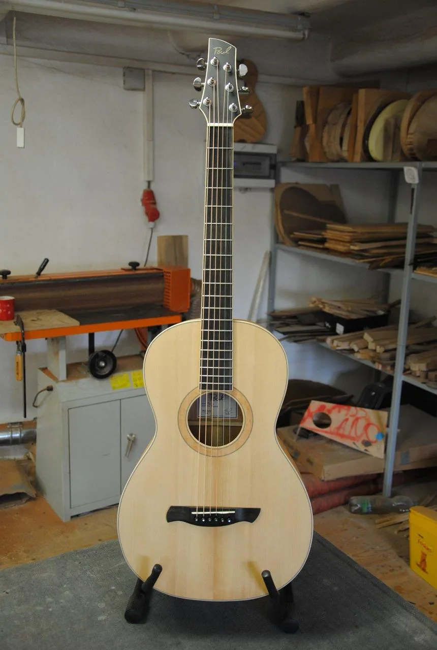 Kytara parlor Poul Guitars - možná výměna