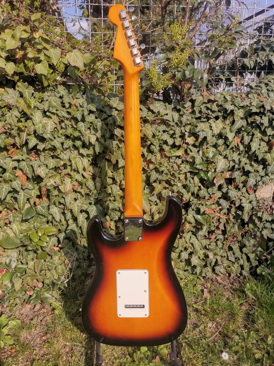 Náhled 6