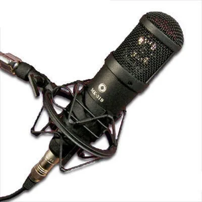 Oktava MK 319