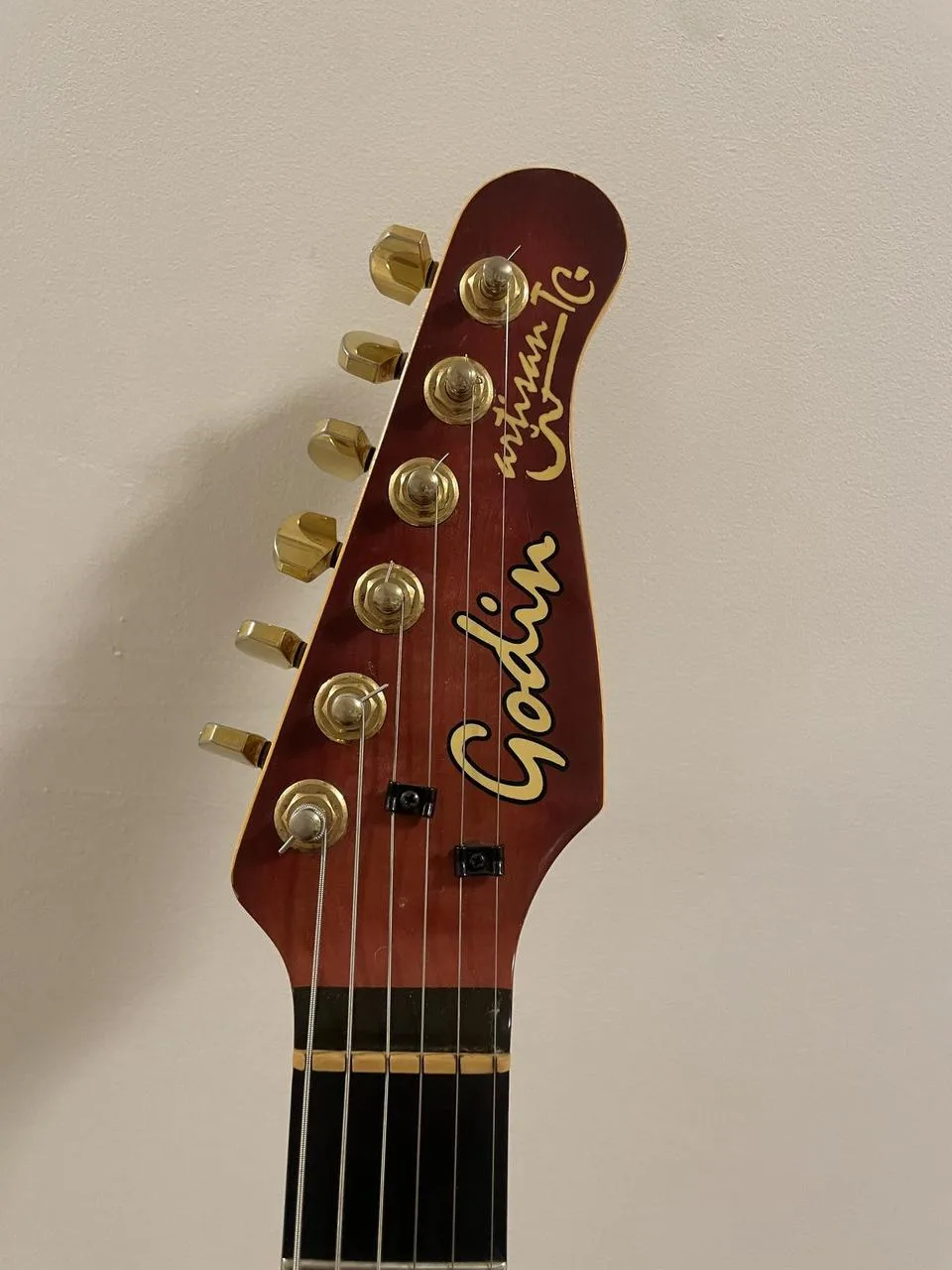 Godin ARTISAN TC r.v. 1991