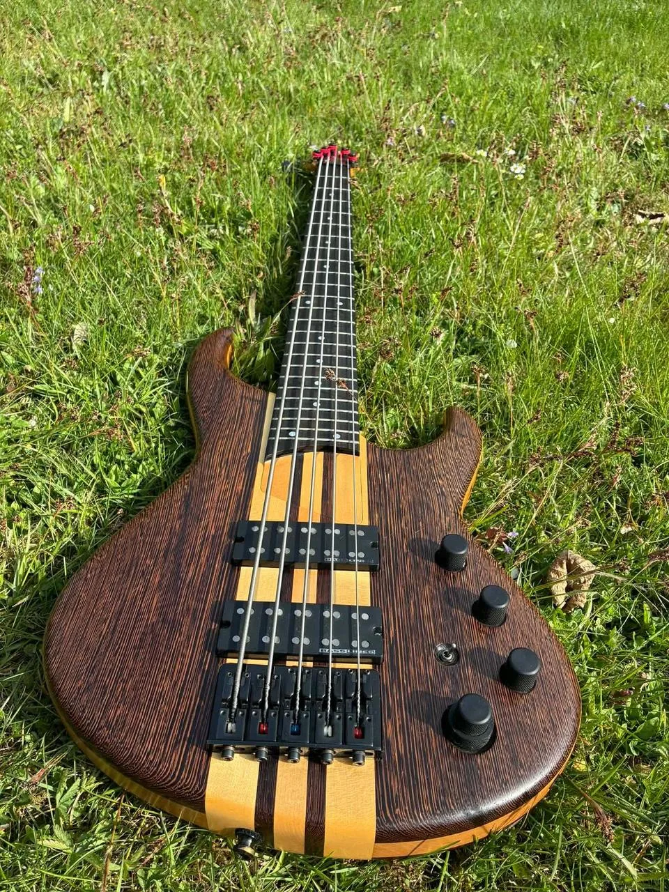 Custom bass 5 string´s (Miloš Kaiser)