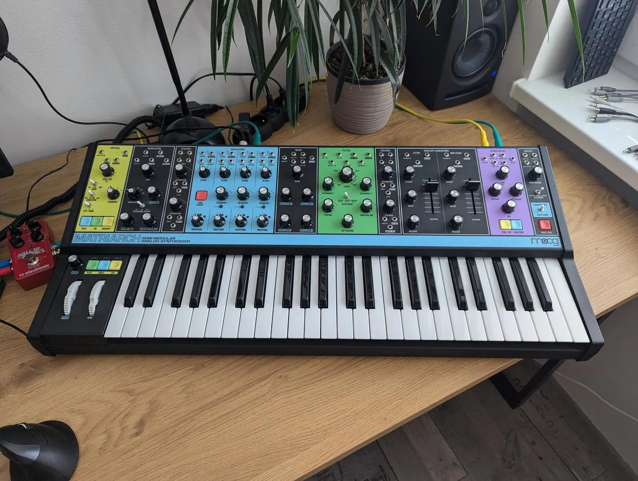 moog matriarch