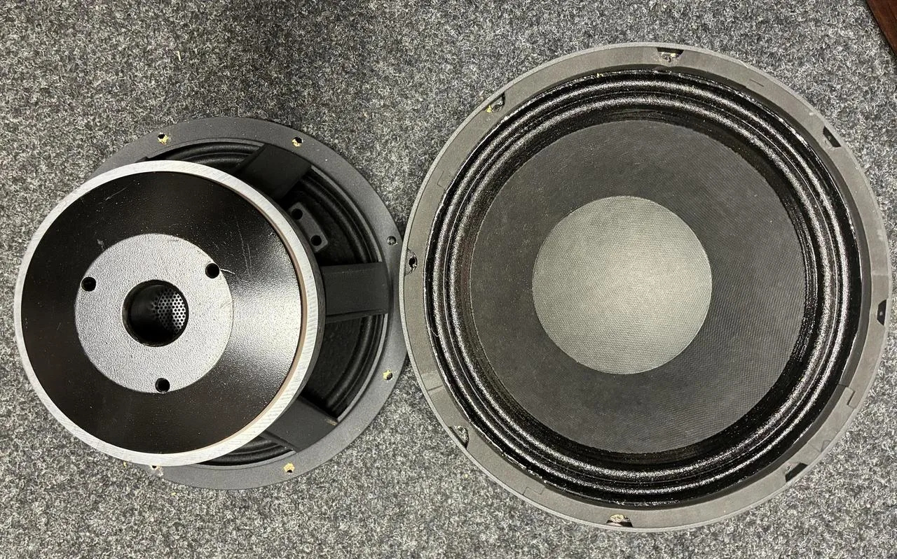 2x 10" The BOX 10-250/1kW