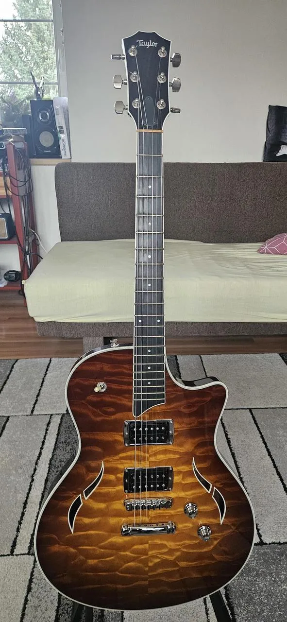 Prodám kytaru TAYLOR T3.