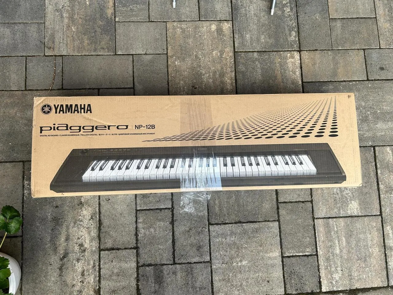 Yamaha Piagerro NP-12