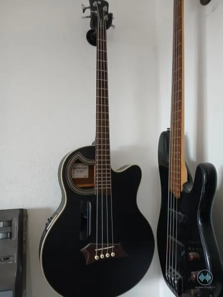 Warwick Alien Deluxe Hybrid 4