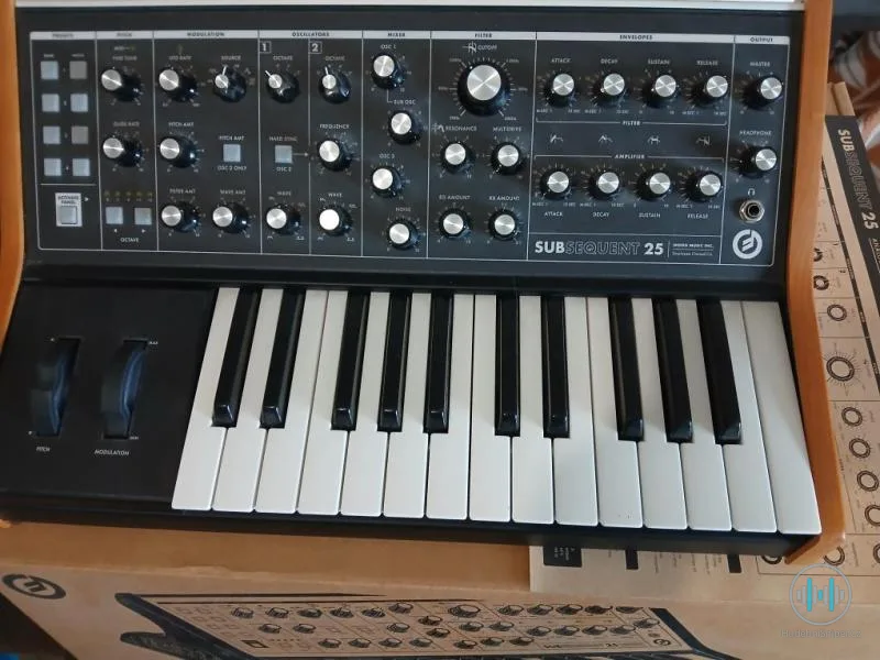 MOOG SUBSEQUENT 25
