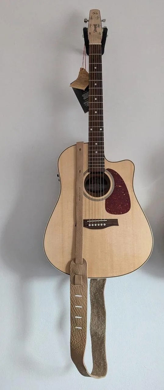 Seagull Performer CW HG Presys II