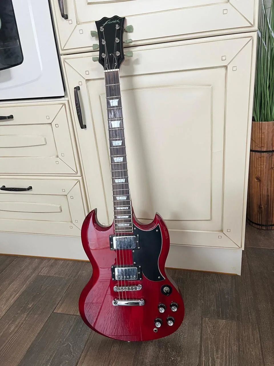 Fenix SG
