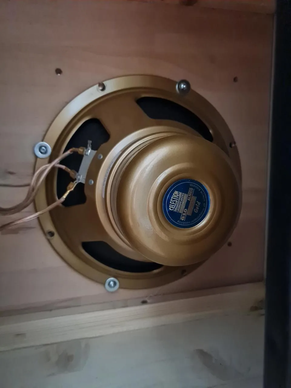 Celestion Gold 10"
