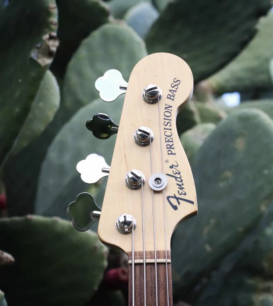 Fender Precision American Highway 2007 neck