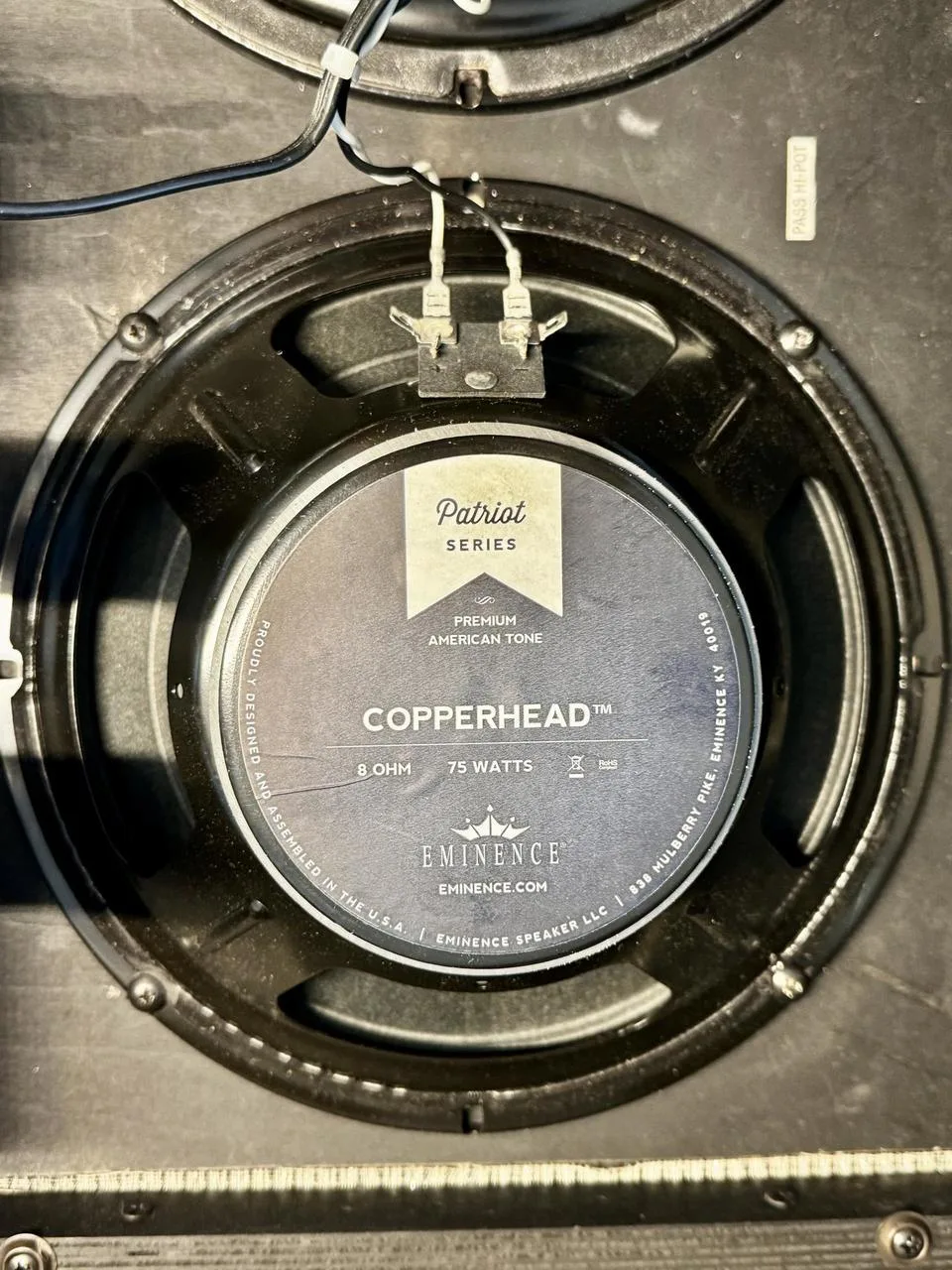 Eminence Ragin Cajun + Copperhead (10", 8 Ohm)