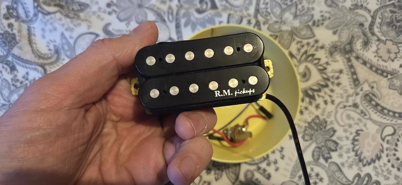 R.M. Pickups F1 + ESP + potenciometry