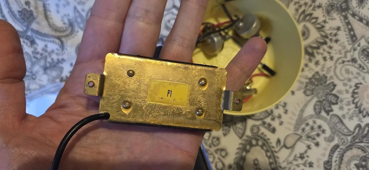 R.M. Pickups F1 + ESP + potenciometry