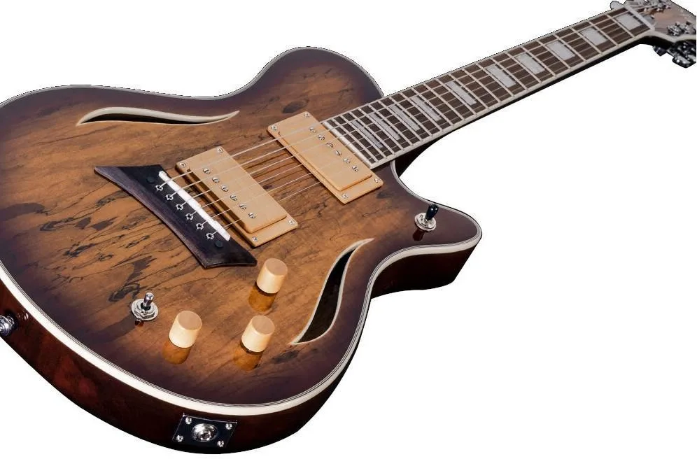 Prodam el. kytaru - Michael Kelly Hybrid Special