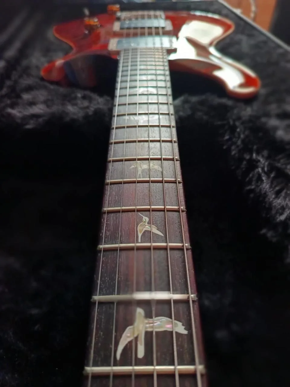 PRS USA Custom 24 Orange Tiger