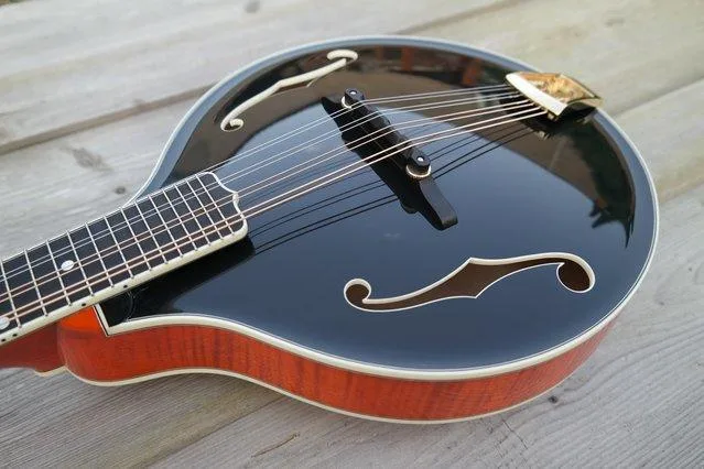 Mandolína A5