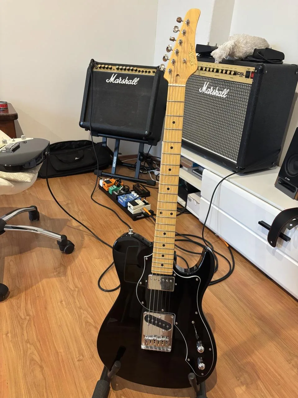 Telecaster FGN