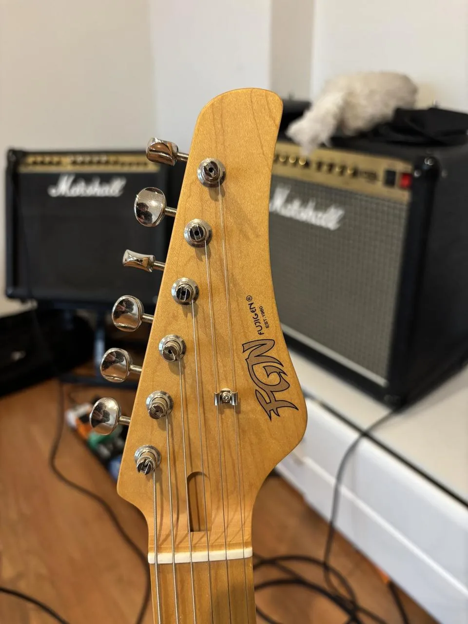 Telecaster FGN