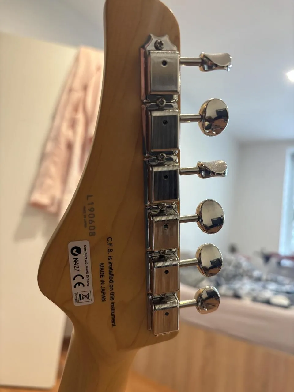 Telecaster FGN