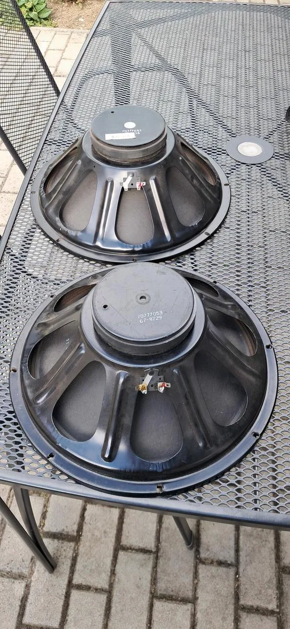 Repro Eminence 15"