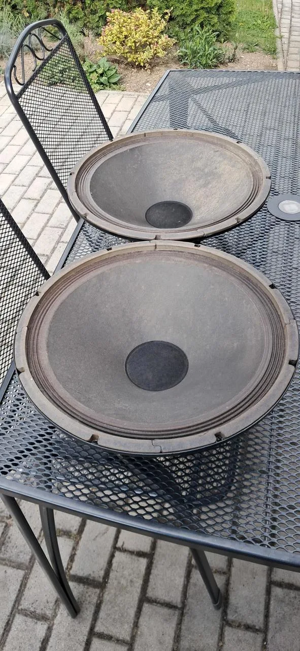 Repro Eminence 15"