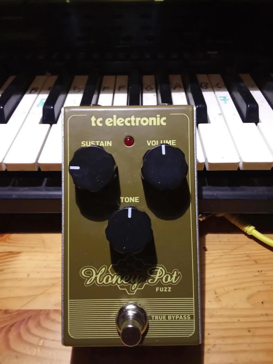 TC Electronic Honey Pot Fuzz