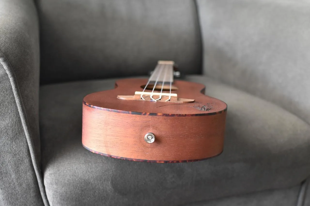 ukulele Ortega RU5MM-TE + obal