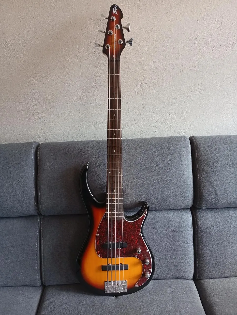 Peavey Milestone 5BXP