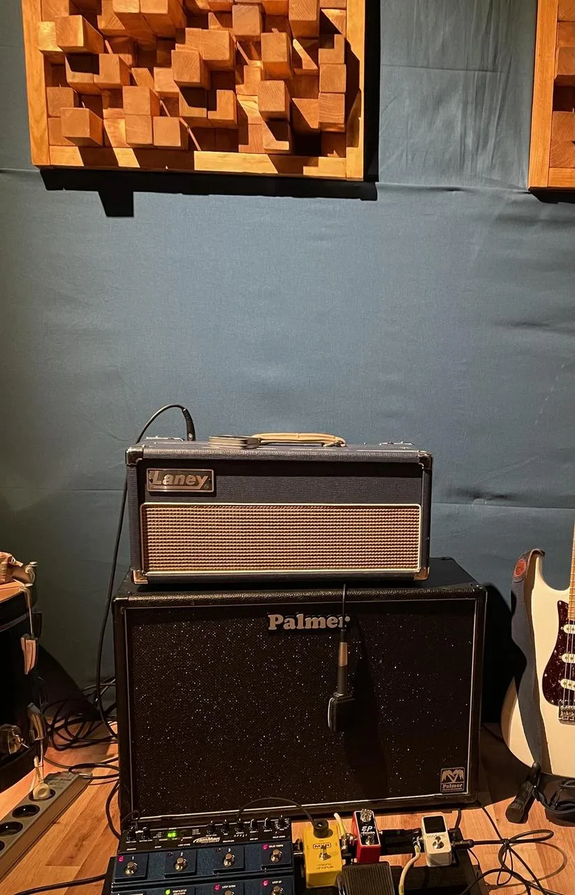 Laney Lionheart L20H + Palmer reprobox + custom hard case