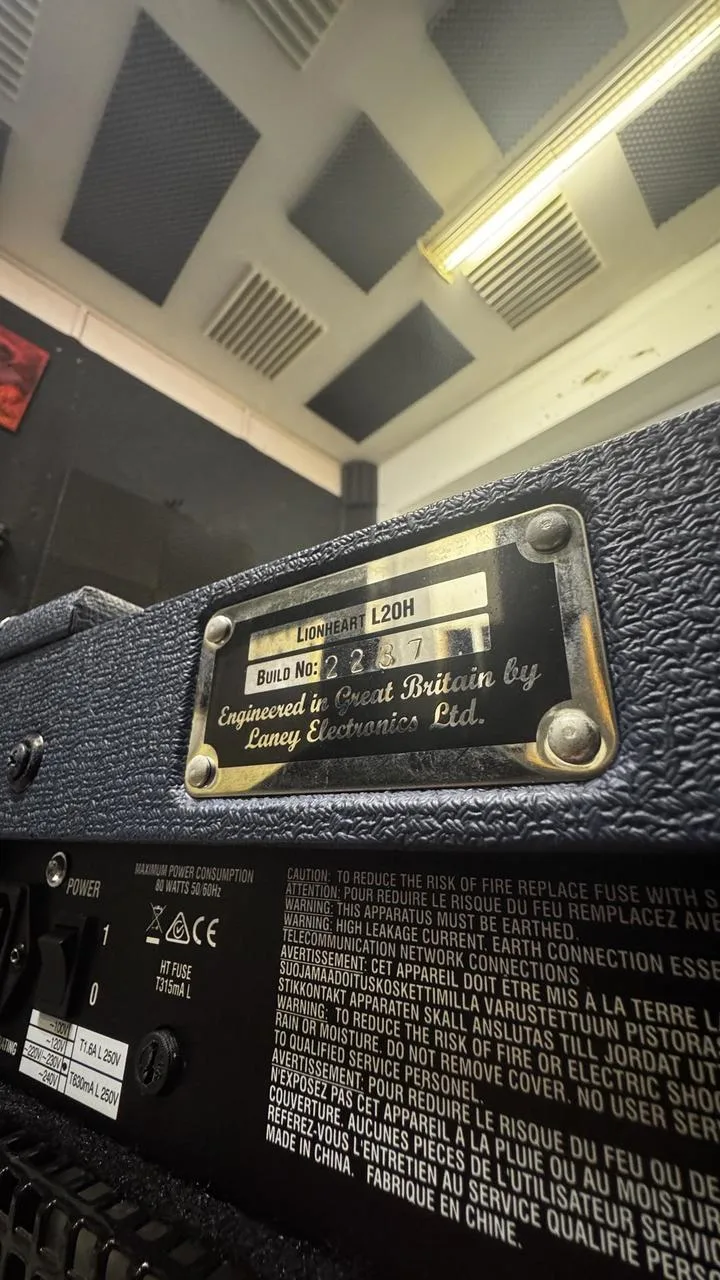 Laney Lionheart L20H + Palmer reprobox + custom hard case